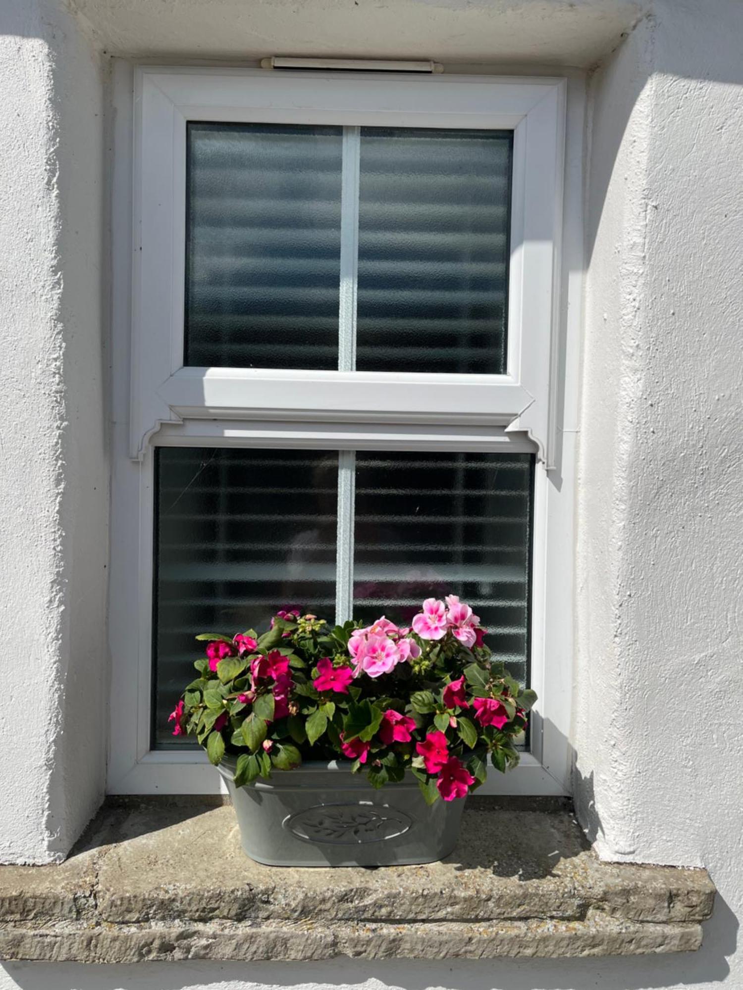 The Cottage At Ashbrook - Charming Country Cottage Near Belfast Exterior photo